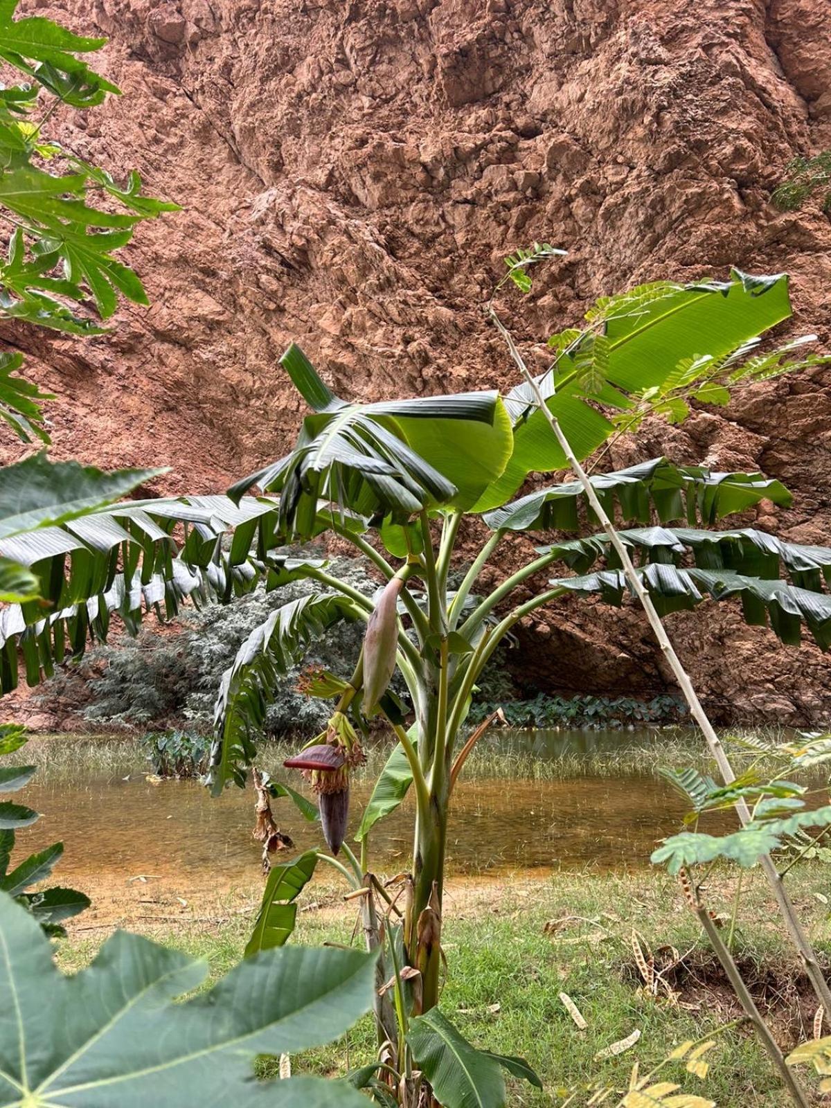 Atlas Wadi Shab Sur Dış mekan fotoğraf